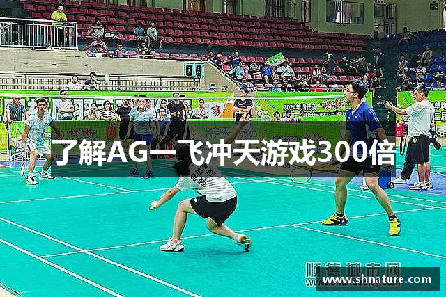 了解AG一飞冲天游戏300倍